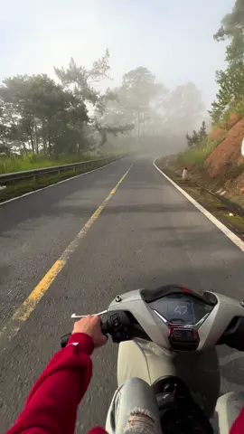 luỵ dalat #dalat 