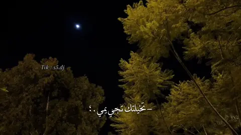 - تخيلتك تجي يمي ! #فهد_بن_فصلا #تصميمي #fyp 