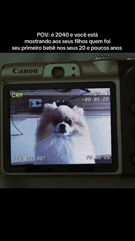 🥺🐾 #spitzalemao #tiktokpet #foryoupage #fyp 