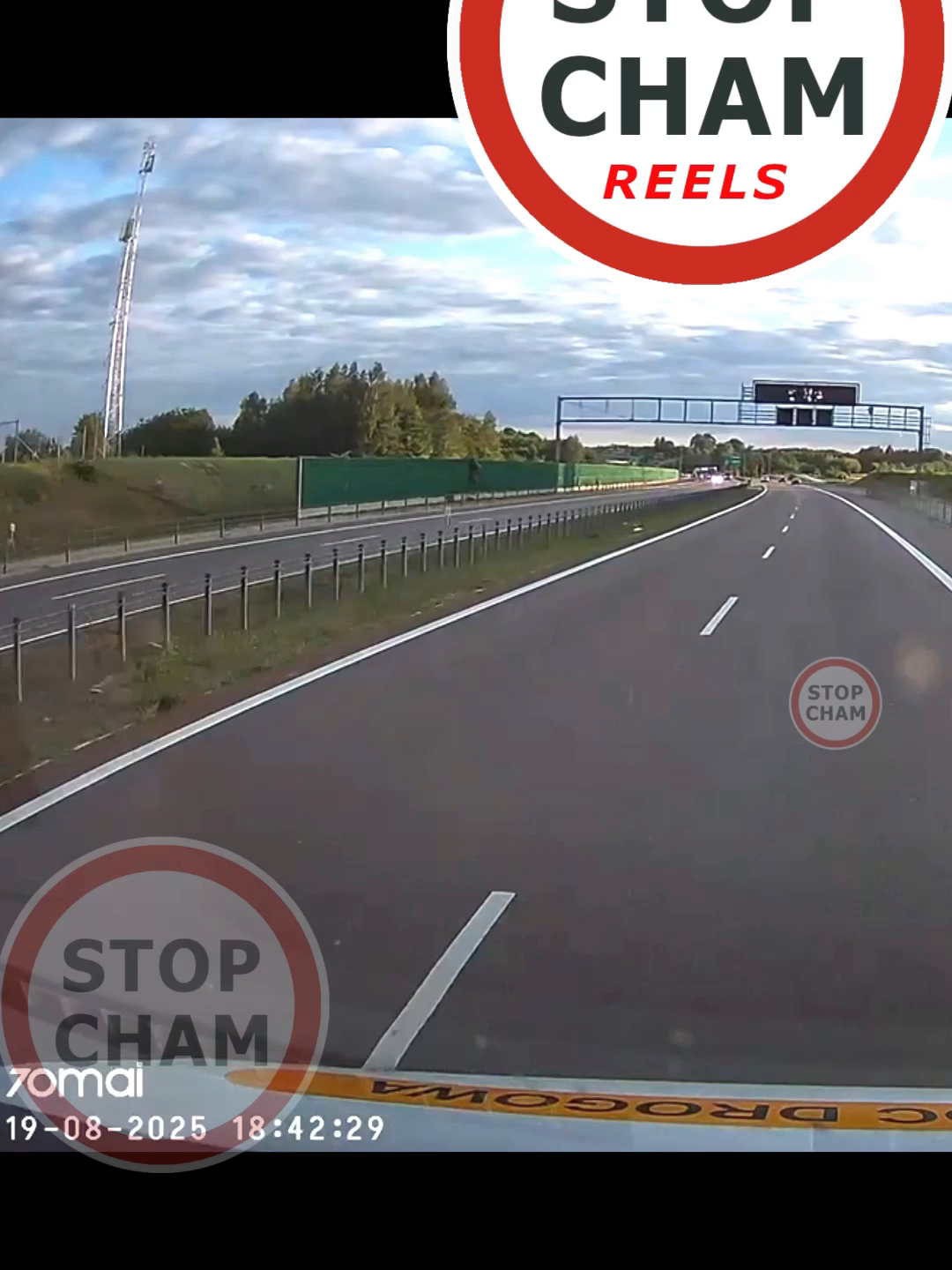 Koń na drodze ekspresowej S19 biegnie pod prąd... 19.08.2025 #stopcham #polskiedrogi #wideorejestrator #dashcam #zwierzęta #lublin