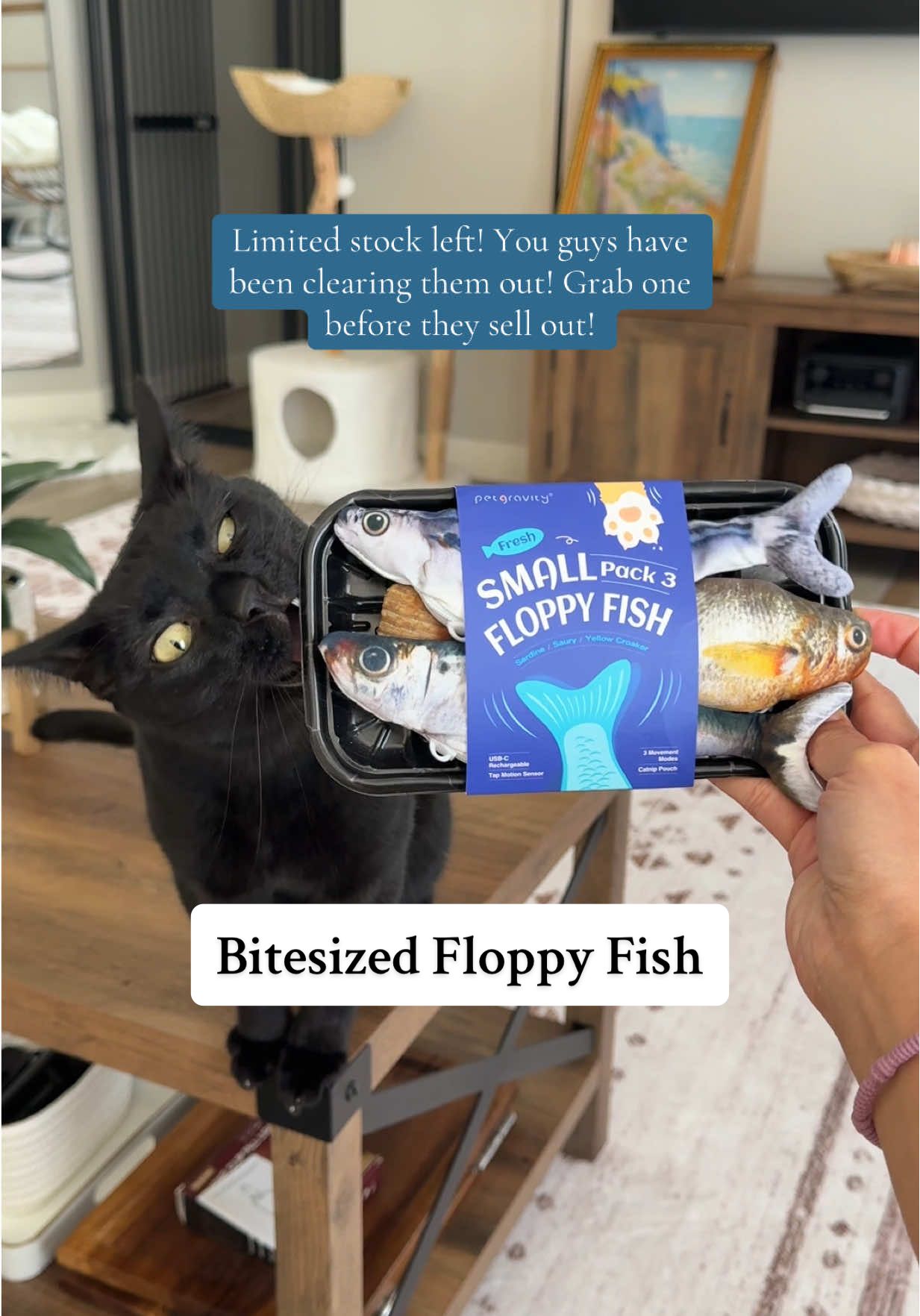 Replying to @🌷•» Ang «•🌷 I hope they love them! They are still a fan favorite around here! #bitesized #rechargeable #floppyfish #cattoy #enrichmentforcats 
