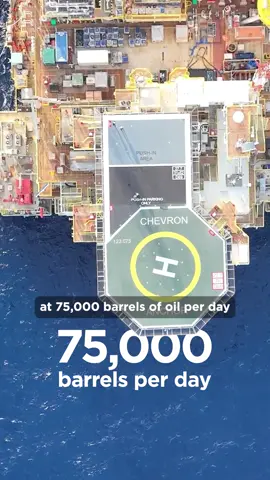Elephants don’t usually stand on quarters (that we know of), but the equipment at our Anchor facility is built to safely handle the same amount of pressure when producing oil and gas beneath the ocean floor: 20,000 psi. Keep watching.