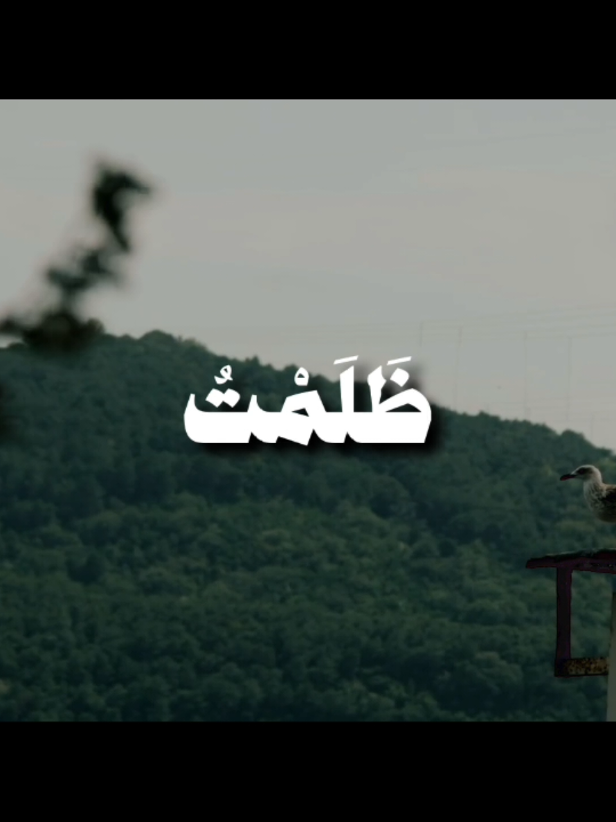 { قَالَ رَبِّ إِنِّي ظَلَمْتُ نَفْسِي فَاغْفِرْ لِي فَغَفَرَ لَهُ إِنَّهُ هُوَ الْغَفُورُ الرَّحِيمُ } [سُورَةُ القَصَصِ: ١٦] القارئ: علي جابر  #qoran #قرآن #قران_كريم #علي_جابر #علي_جابر_رحمه_الله 