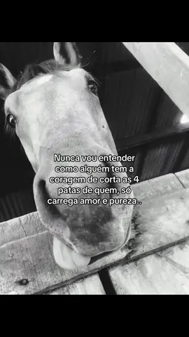 🥺.. #naoflopa #videoviral #fouryou #cavalo 