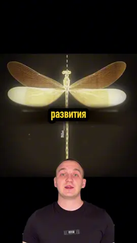 В природе все симметрично? #интересно #полезно 