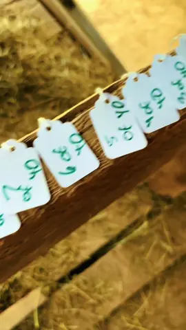 I found this way I can keep track of how much hay I feed and when I need to re-order more hay. ##farmlife #equestrian #horses #hay