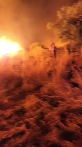 Un simple barbecue de sardines dans un jardin sec fait par des inconscients… et nos montagnes ont pris feu. Pendant 3 jours et 3 nuits, sans sommeil, nous avons lutté seuls. Pas de Canadairs, pas de pompiers disponibles… juste nos tuyaux d’eau, des pelles, un tracteur, une citerne et nos mains. Le feu a encercler nos maisons. Mais grâce à la solidarité des habitants  Azenha est encore debout, entièrement noir mais debout.  🙏 Merci à ceux qui ont sauvé notre village. Nous avons perdu nos terres mais nos maisons, les animaux et les habitants sont en vie. Après 72h d’enfer, nous avons gagné. On a tous mis notre vie en danger, sans équipement nous avons lutté mais on a réussi. Vous êtes des héros ❤️🇵🇹  #portugal🇵🇹 #feu #incendie #sabugal #sortelha 