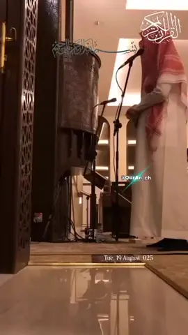 بدون_مبالغة! _تلاوة_زكية_بنبرة_رائعة_وجميلة#ارح_سمعك_بالقران