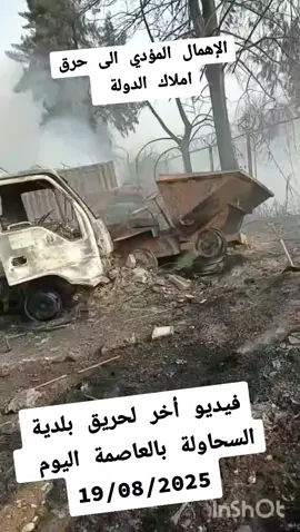 #خميس_مليانة ##الجزائر 