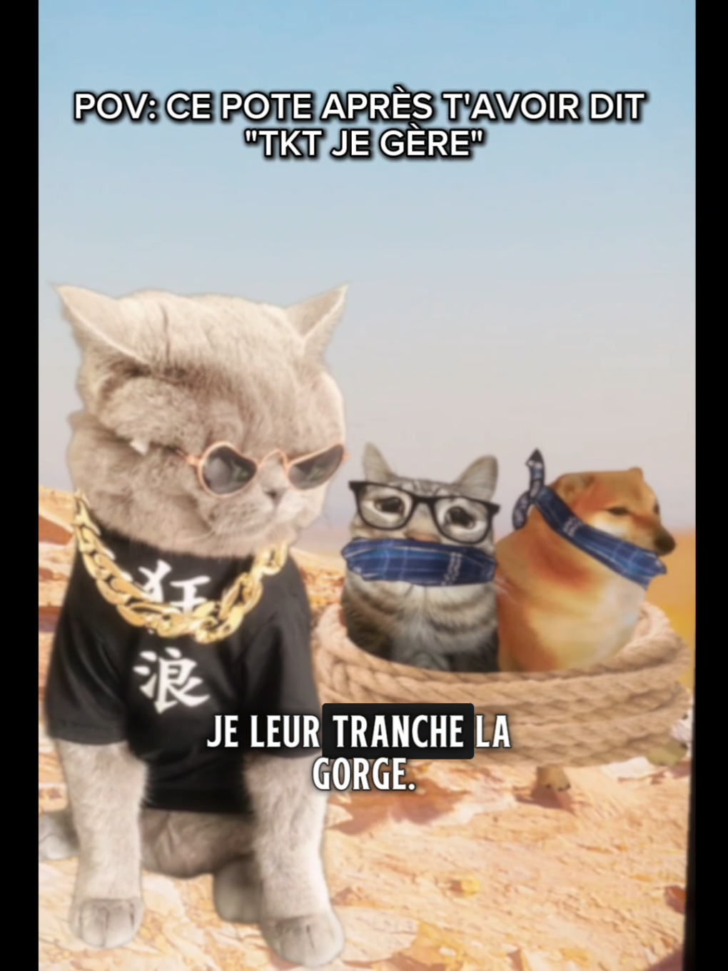 Pov: ce pote après t'avoir dit tkt je gère... #humour #edit #animation #catmemes #dankmemes 