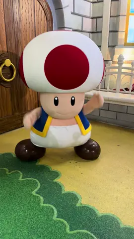 Just hanging with the bestie #toad #nintendo #supernintendoworld #universal #univetsalstudios 