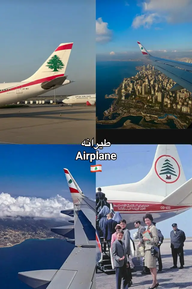 #lebanon #foryoupage #fyp 🇱🇧 #viral #لبنان 