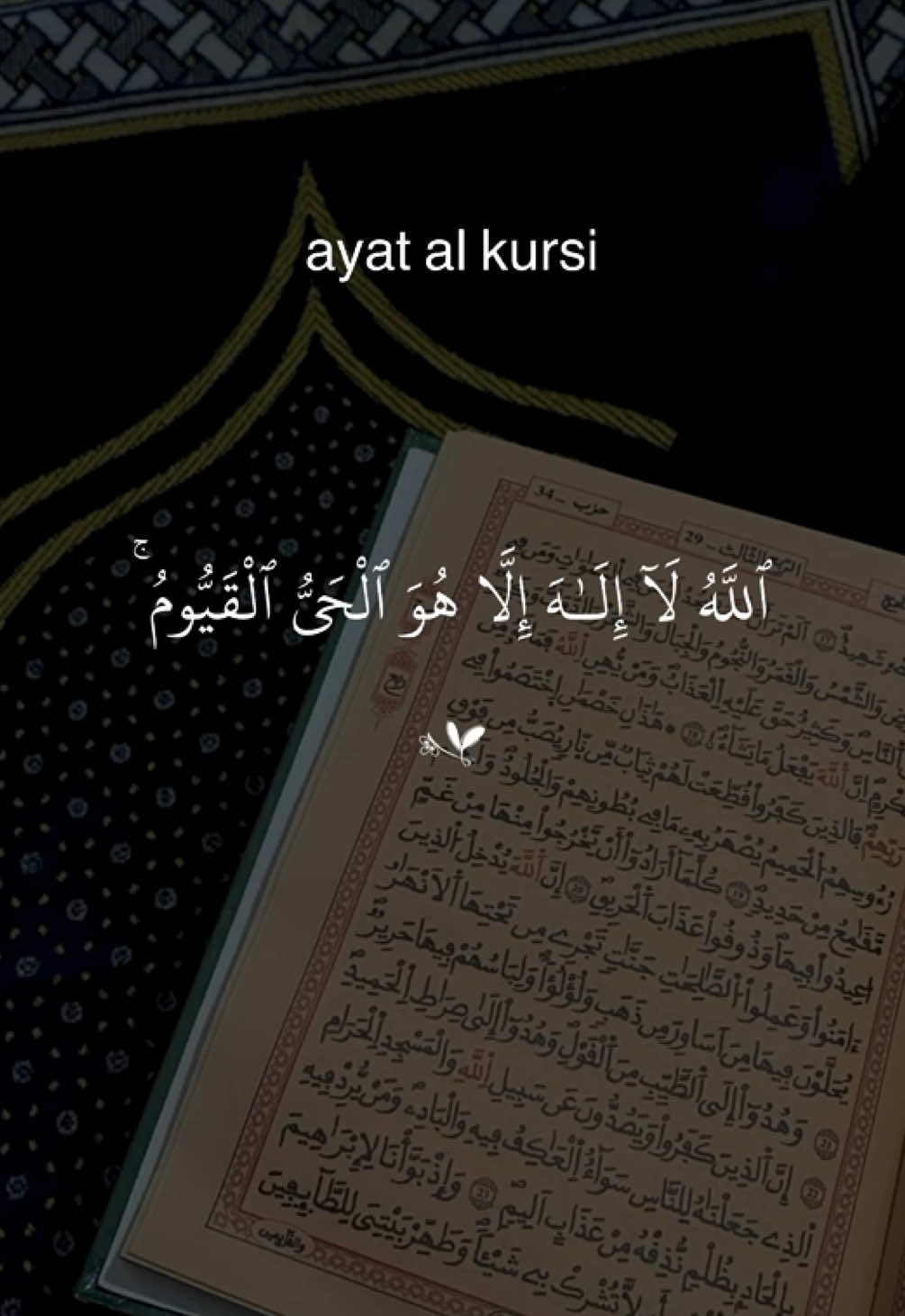 Ayat Al Kursi  #quran #dailyquran #quran_alkarim #quranrecitation 