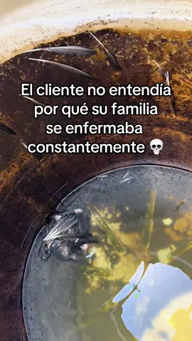 🛑Si no haces revisiones constantes, tu tinaco podría tener la tapa caída y verse así... lleno de agua verde, larvas… ¡y hasta animales muertos! 😱🐦 No esperes a que tu agua se contamine! 🫧Agenda tu limpieza hoy mismo. #LimpiezaDeTinacos #AguaSegura #Salud #Cleaning #Health            