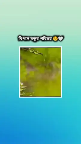 বিপদে বন্ধুর পরিচয় ☺️🤍#jisan_on_fire77 