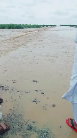 #سودانيز_تيك_توك_مشاهير_السودان🇸🇩 #طريق الحواته القضارف#مشاهير_تيك_توك#سودانيز_تيك_توك_مشاهير_السودان🇸🇩