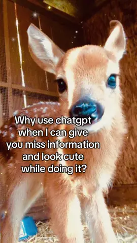 I love spreading miss information and false facts  - #spirituality #relatable #crashout #hopecore #deer 