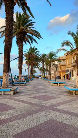 #القالة_مدينة_المرجان⛱️🏖️🏄🚣🏊 #طارف #elkala #taref #annaba #عنابة #algeria #alg #djelfa #laghouat #explore #trend #fyppppppppppppppppppppppp #fyp #اكسبلور #tiktok 
