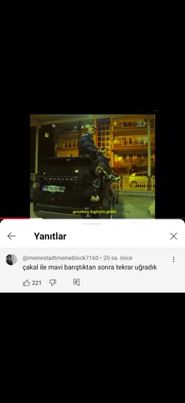 #cakalmavigözler #cakal #mavi #gozler 