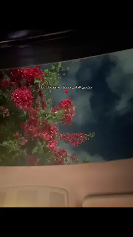 مِـن بين الناس حبيـتك  وأخترتـك لِـيا #foryoupage #explore #music #fypシ゚ #حبيبي #اغاني #حب #حركة_إكسبلور #ورد #رومانسيه #مشاعر #كلمات_من_القلب 