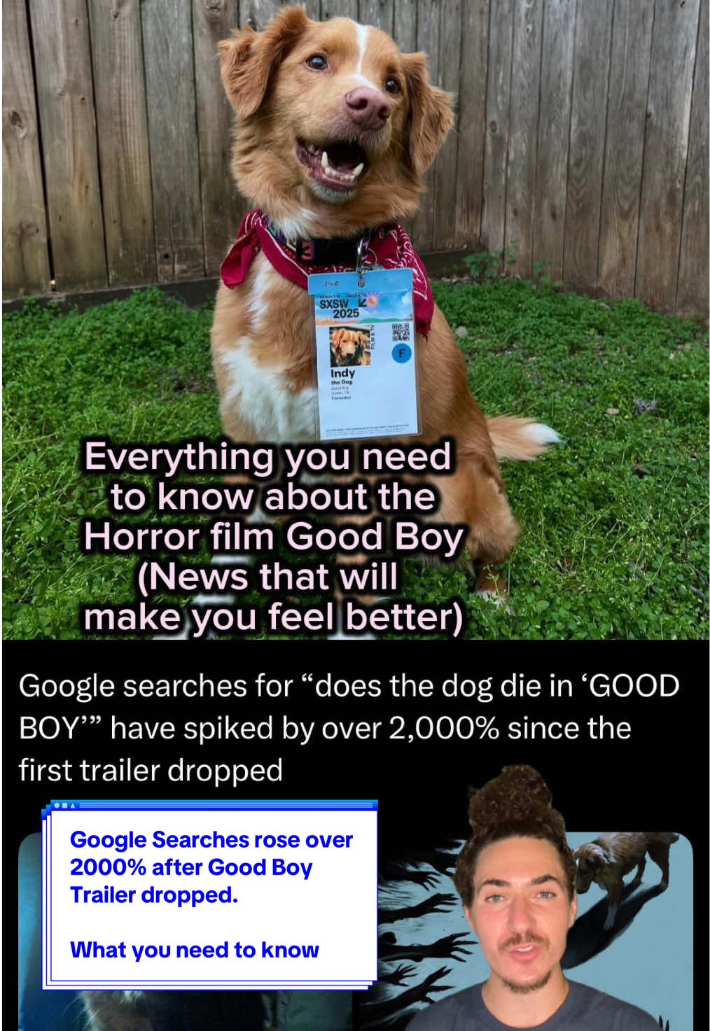 The nation loves Indy #GoodBoyMovie #IndyTheDog #Goodboy #Dog
