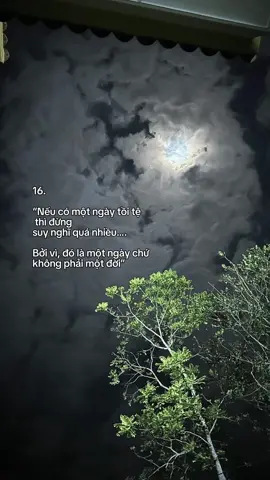 Nếu theo cả một đời thì sao… #capcut #tiktok 