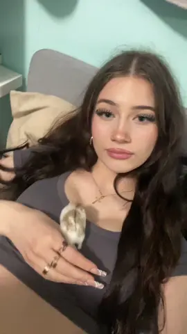 😆😆😆