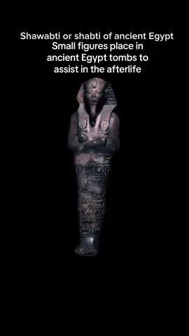 #history #LearnOnTikTok #learnwithtiktok #artifact #mummy #ancientegypt #egypt #history #ancienthistory 