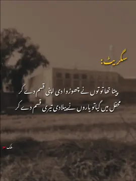 Aho💯🚩#foruyou  #malik #viral#sadstatus #urdupoetry          