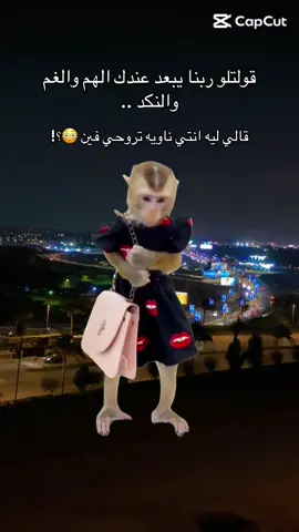 #Meme #MemeCut #الشعب_الصيني_ماله_حل 😂