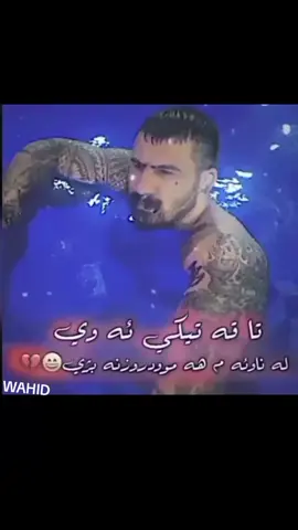 اقا-وحيد-مرادي-البطل -وحش-ايران -نسر-عقاب روحت-شاد -زعيم-مافيا -الوحش المصمم 🦅☠️