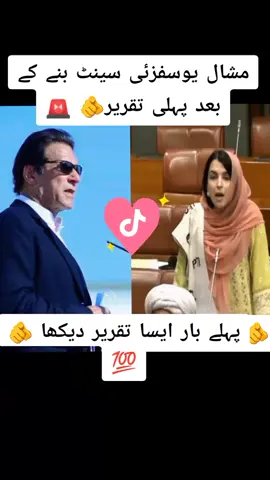 مشال یوسفزئی سینٹ بنے کے بعد پہلی مرتبہ تقریر ❣️❣️🚨👏💝💯🫵#ptiofficial #ffffffffffffffyyyyyyyyyyyyyyyyppppppppp 