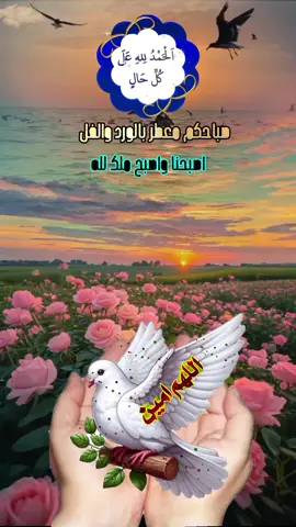 #دعاء_صباح_يوم_الاربعاء #اللهم_امين_يارب_العالمين #ادعية_يومية_اذكار_مستجابة #صباح_الدعوات_المستجابة❤️ #اكسبلور 