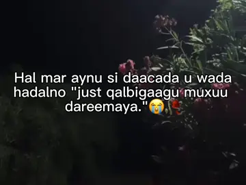 Hal mar aynu si daacada u wada hadalno just qalbigaagu muxuu dareemaya.