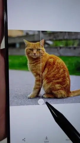 samsung gallery has a secret ai glow up. fix blurry pics and colorize old photos in seconds. which photo are you trying first? 🪄📸   #TechTips #AndroidTips #Samsung #PhotoEditing  