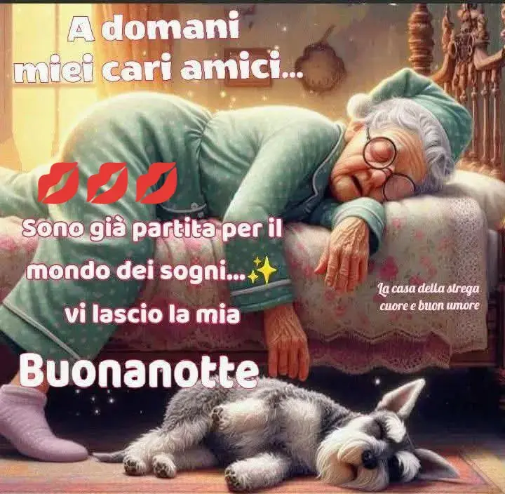 #voliamoneixte✈🦁🔝💯💥💣 #virale  perte carissimi amici #buonanotte 💋💋💋#