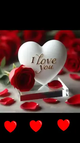 #ፍቅር➻ብቻ🖇ፍቅር➻ብቻ❤🥀🔐 #ፍቅር➻ብቻ🖇ፍቅር➻ብቻ❤🥀🔐 