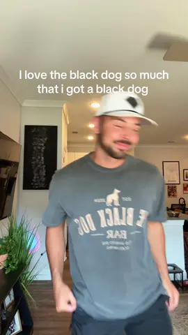 Everyone meet Ranger the black dog 🥹❤️ #theblackdog #taylorswift 