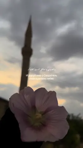 #muslim #fyp #محظور_من_الاكسبلور #تصويري #دعاء 