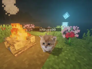 #майнкрафт #Minecraft #котики #мемы #котята Добавлю ваш ник котику, смотрите описание! ❤️