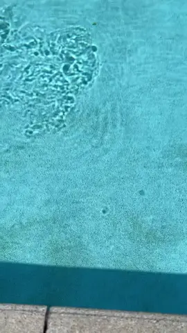 🙂