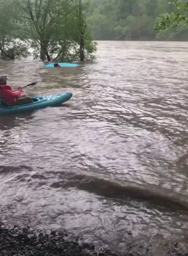 That time we had the bright idea to take lake kayaks down the river. Watch my uncle up front 😂 #newriver #wv #kayak #comedyvideo 