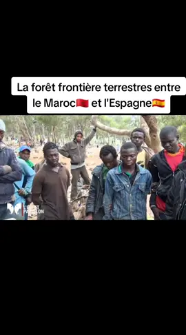 La forêt frontière terrestres entre le Maroc et l'Espagne #pourtoi #pourtoipage #viral_video_tiktok @@Immigration Vers Europe🇪🇺 @@Immigration Vers Europe🇪🇺 @@Immigration Vers Europe🇪🇺 @BAMBINO UNVATOMBER💪 