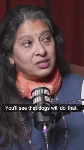 Discover the intriguing ways our furry friends, especially larger dogs, approach nature—and what humans can learn from their instinctual behaviors. From the importance of squatting for physical health to the hidden practices within cultures regarding toilet habits, this video dives into the fascinating interplay between tradition, mobility, and modern conveniences. As Dr. Bhaswati Bhattacharya shares insightful anecdotes about maintaining leg strength and the relevance of squatting both for dogs and humans, viewers are prompted to reflect on how our practices can influence overall well-being. This engaging discussion also highlights how flexibility and strength in our thighs can significantly impact our mobility as we age. Don't miss out on connecting with this wealth of knowledge about Ayurveda and holistic health practices. Get ready to think differently about your own habits and the lessons that our canine companions can teach us! #DogBehavior #SquattingToilet #HealthTips #Ayurveda #Mobility #TraditionalPractices #StrengthTraining #HolisticHealth #WellnessJourney #HealthyLiving