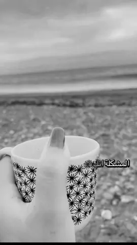 #الشعب_الصيني_ماله_حل😂😂 #عبارات #مالي_خلق_احط_هاشتاقات #ثقه_في_الله_نجاح #رياكشن 