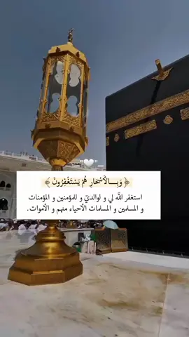 ﴿وَبِالأَسْحَارِ هُمْ يَسْتَغْفِرُونَ﴾ ‏استغفر الله لي ولوالديّ وللمؤمنين والمؤمنات والمسلمين والمسلمات الأحياء منهم والأموات.#foryou #foryoupage #frypgシ 