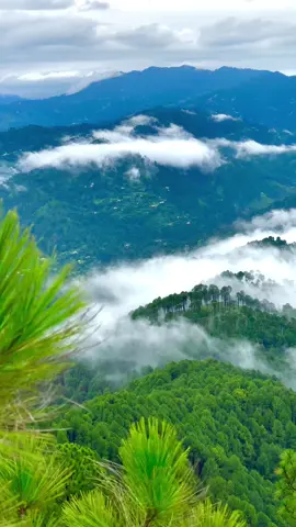 Its,Danohi Hill top..!❤️‍🩹#foryou #foryoupage #moinsatti1 #trending #fyp 