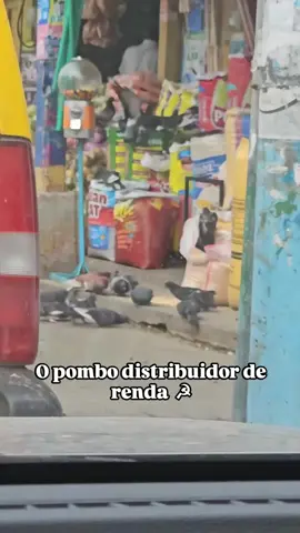 a revolução do pruuletariado #pombo #comunismo #socialismo 