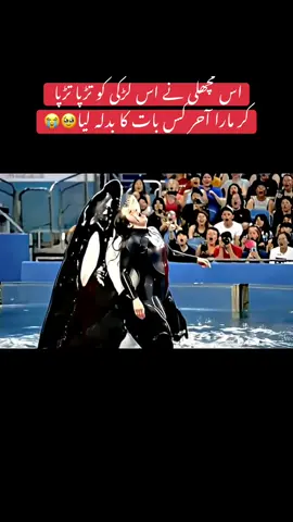 Miss you Jessica 🥹😭 Orca eat Jessica 🥹 #jessica #Orca #dolphin #foryoupagе #unfreezemyacount 