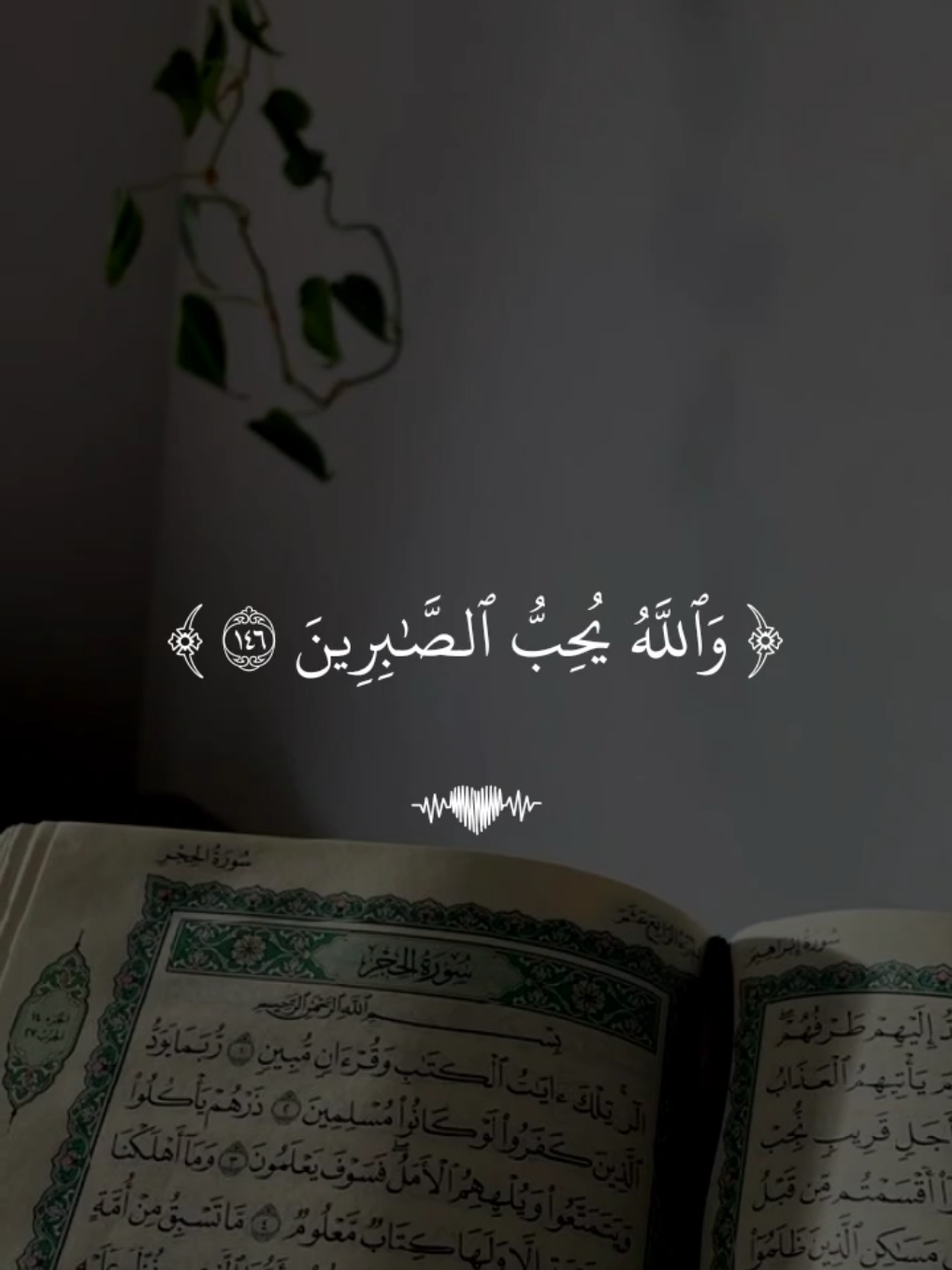 تدبروا الآيات 🤍 #قران #ادريس_ابكر #quran 